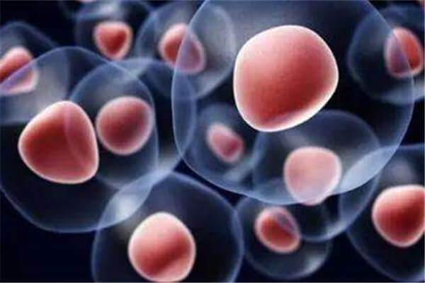 干細(xì)胞在皮膚病中的研究！？