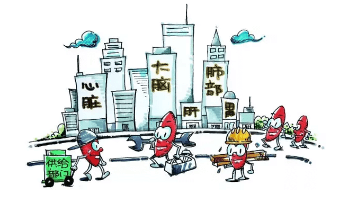 干細(xì)胞是什么