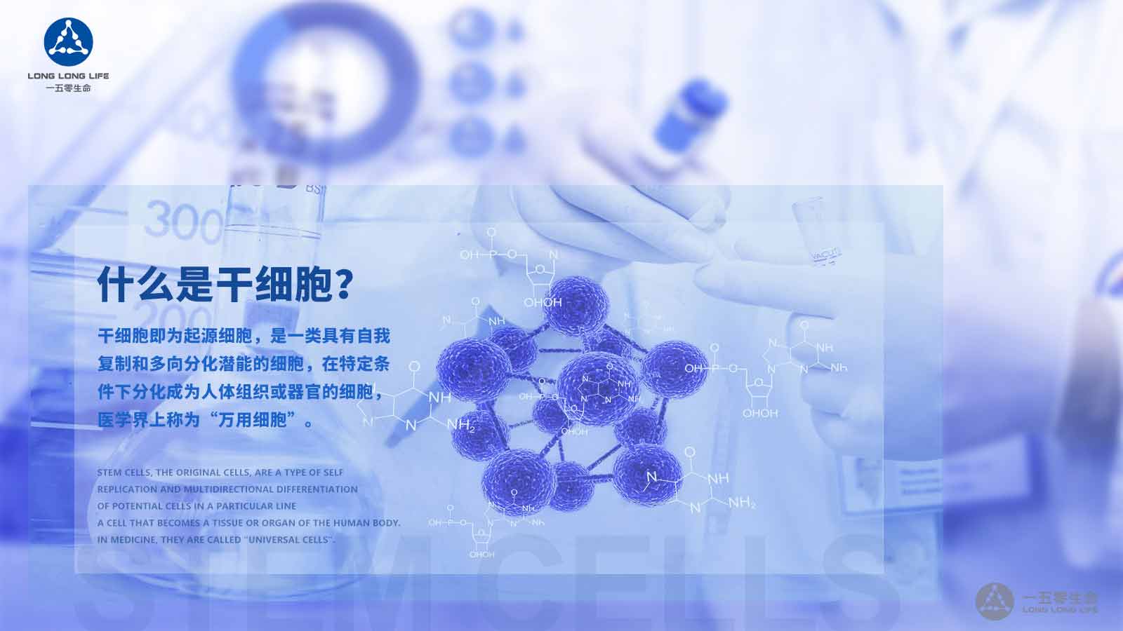 干細(xì)胞療法對(duì)骨關(guān)節(jié)損傷、糖尿病、自體免疫性疾病效果顯著