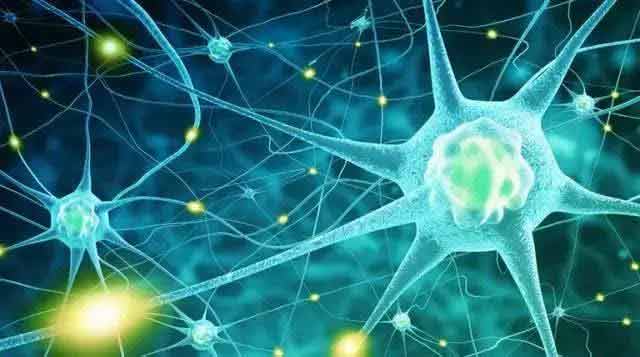 干細(xì)胞療法為全球5000萬癡呆癥患者帶來新途徑