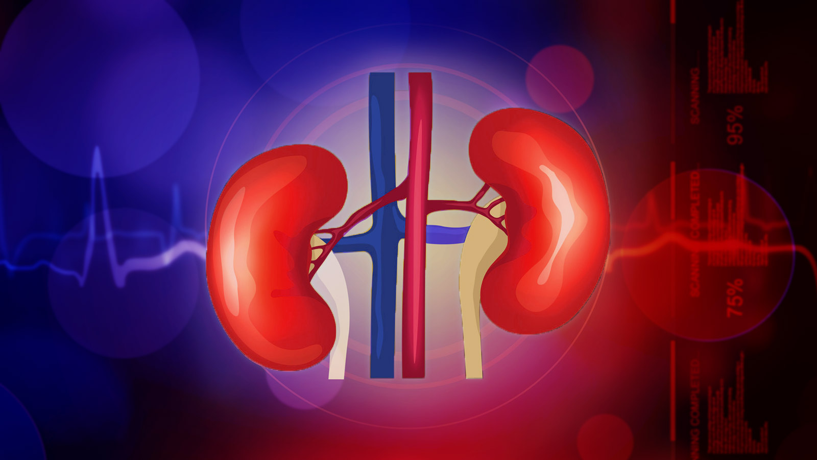 干細胞治療慢性腎病具有不可替代的優(yōu)勢