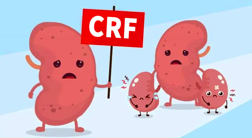 干細胞治療慢性腎衰的一例研究報告