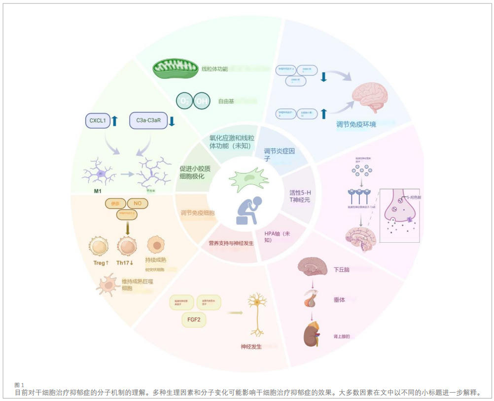抑郁癥臨床研究